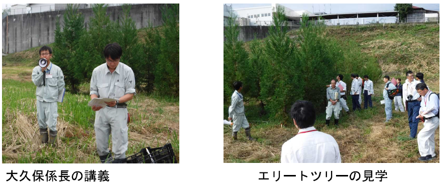 エリートツリー