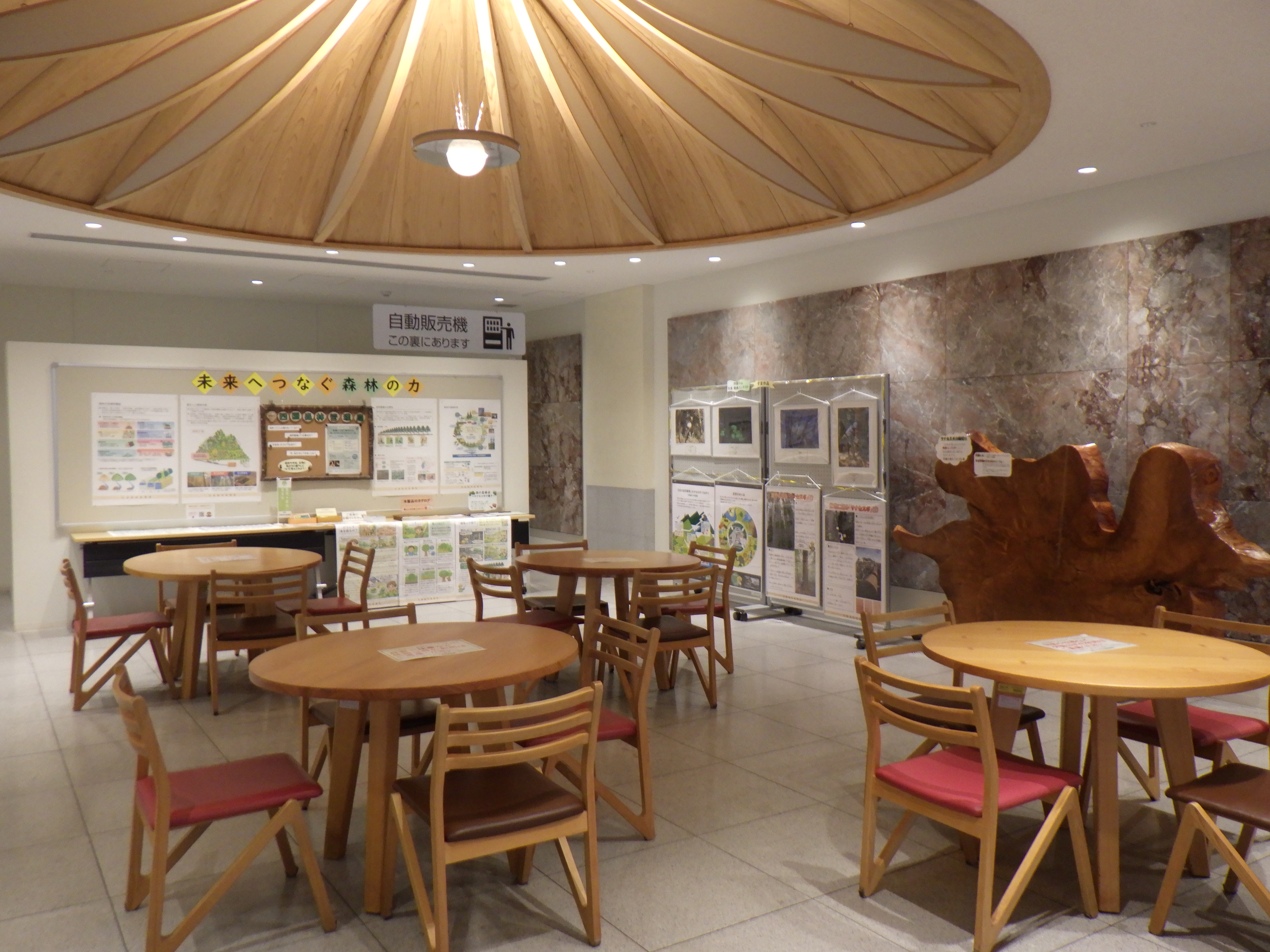 オーテピア１階休憩コーナーの様子。手前には丸テーブルと椅子のセットが４つ置かれている。奥に掲示板と有孔ボードがあり、森林整備を説明するパネルやヤナセスギを説明するパネルが掲示されている。その隣にはヤナセスギの輪切りがあり、両手を広げても届かない実物の大きさが分かる。