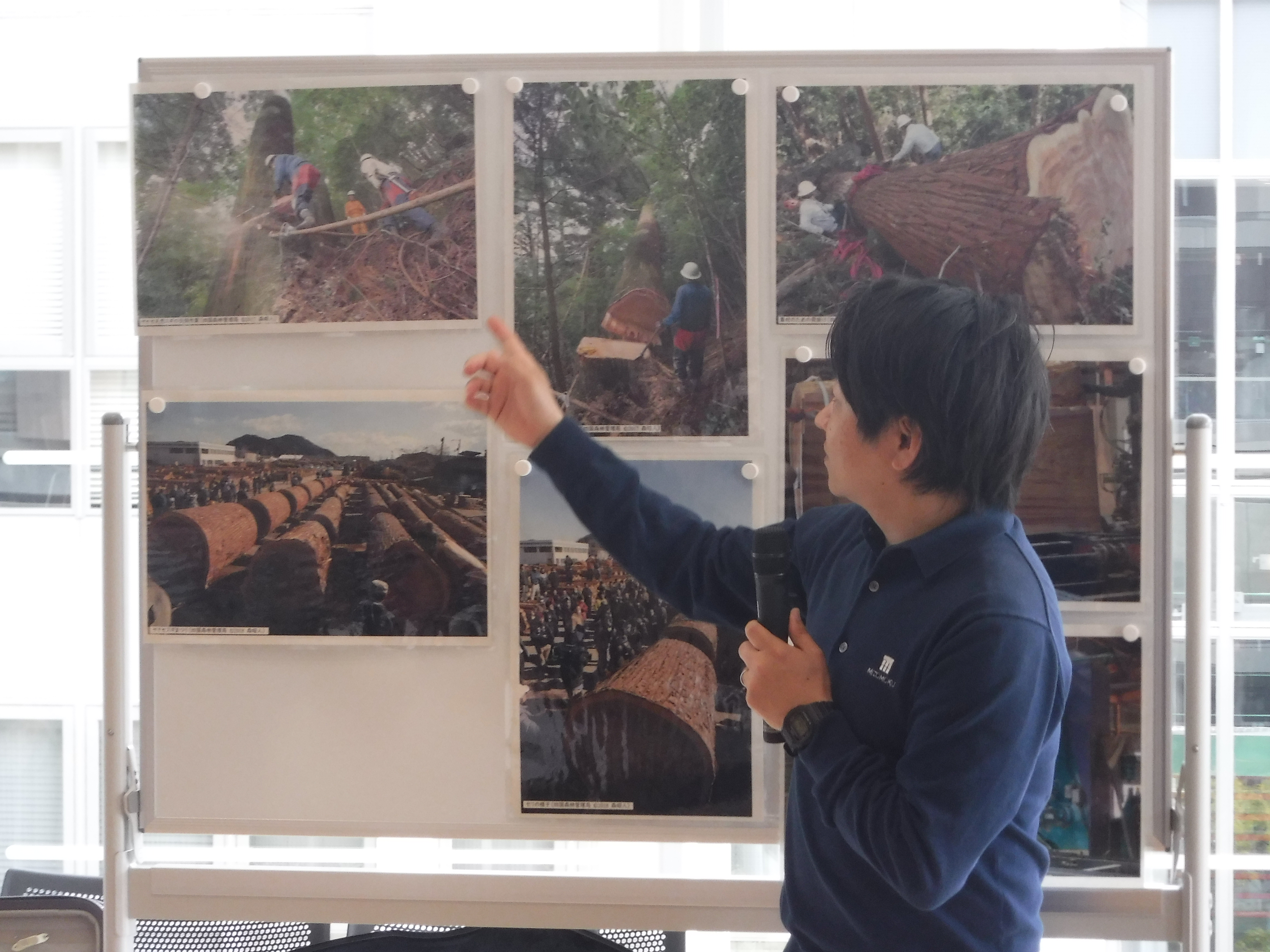 ヤナセスギで作られてたヴァイオリンの演奏会にあたり、ヤナセスギの伐採からセリ、製材の様子を写真で伝えているところ。