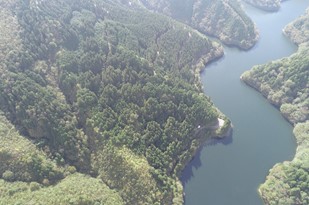 水源涵養タイプ