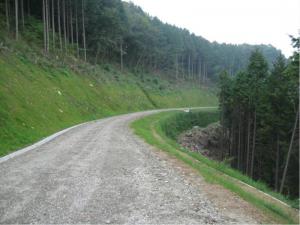 20120604_kunugitao