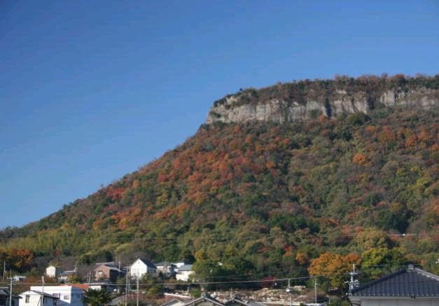 屋島国有林（南嶺）