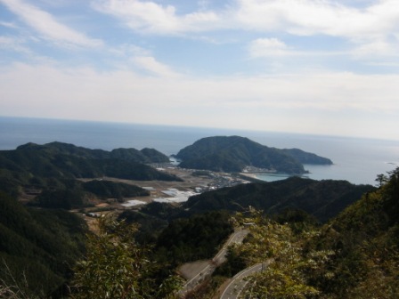 風景林より興津集落を望む