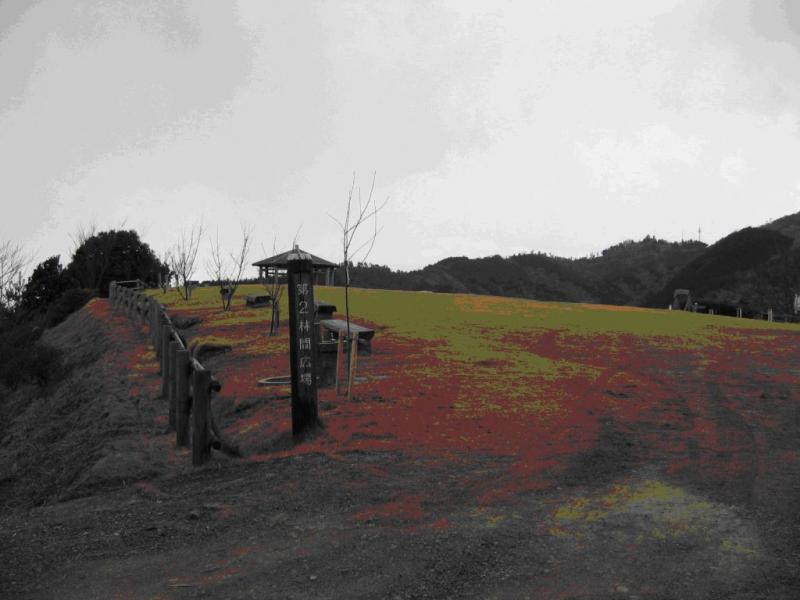 えひめ森林公園第二林間広場