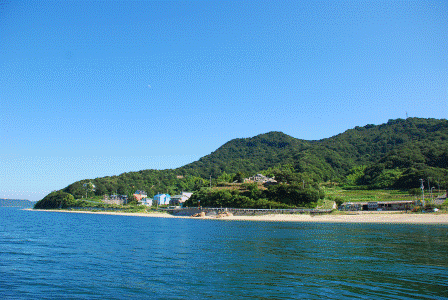 庵治湾風景林