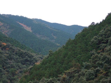 大黒山：遠景
