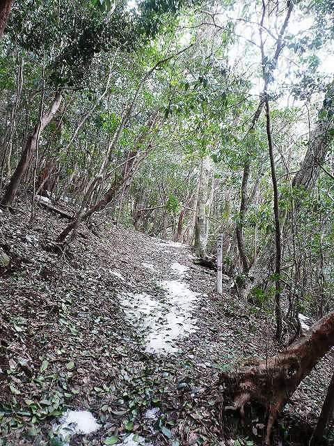 堂ヶ森：登山道1