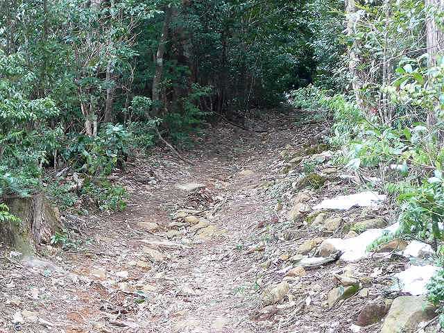 堂ヶ森：登山道2