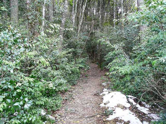 堂ヶ森：登山道4