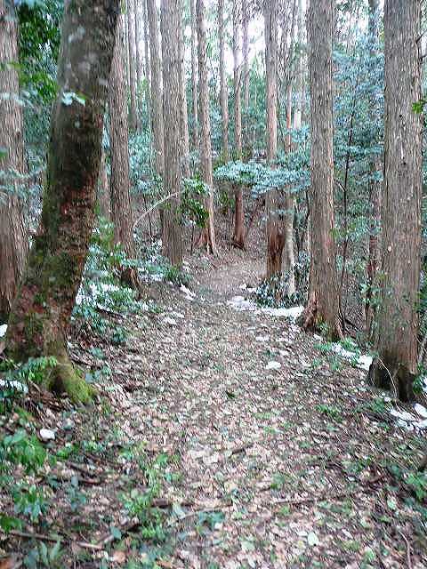 歩道2：土佐堂ヶ森