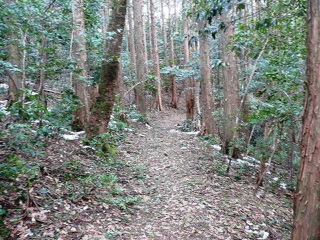 登山道：土佐堂ヶ森