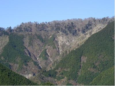 西又山ブナ林遠景