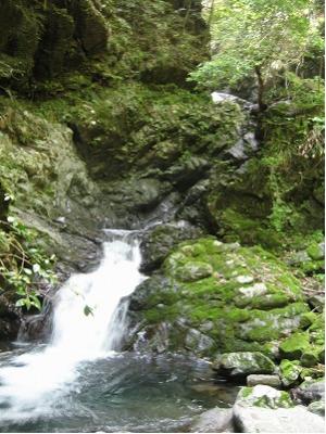 西ノ川山渓谷滝その2