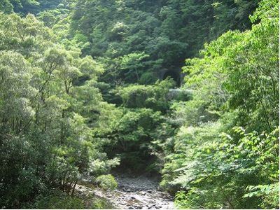 西ノ川山渓谷トンネルと山