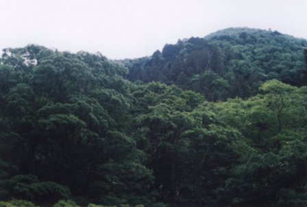 小田深山渓谷：遠景