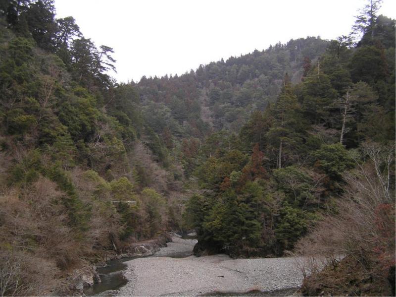 千本山上流