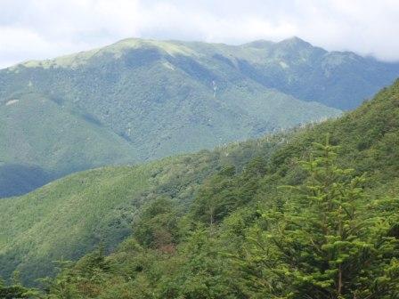 天狗塚と牛の背：土佐矢筈山