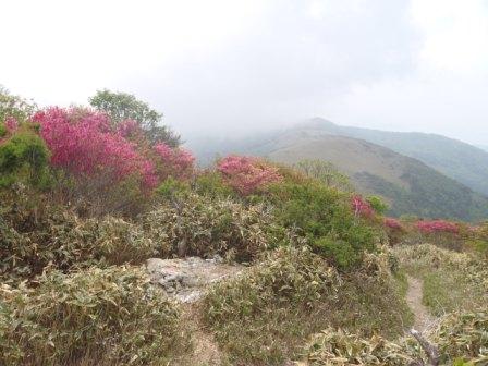 小檜曽山：土佐矢筈山