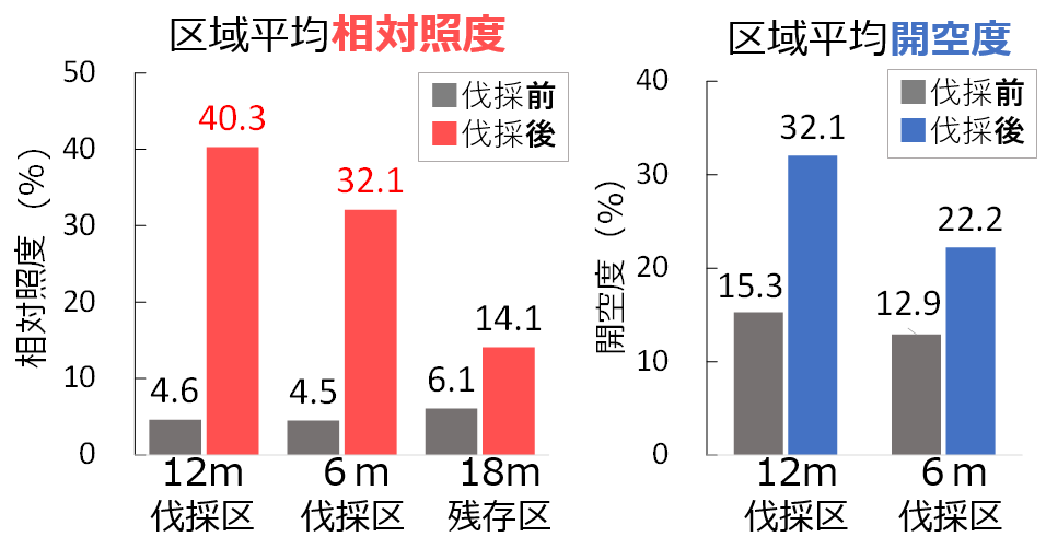 光環境結果