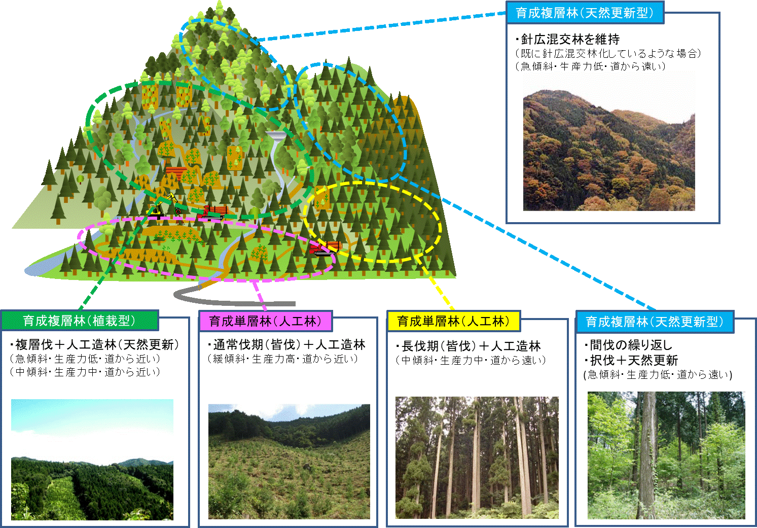 多様で健全な森林づくりのイメージ