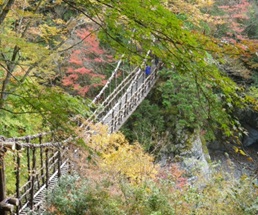 吉野川流域_写真