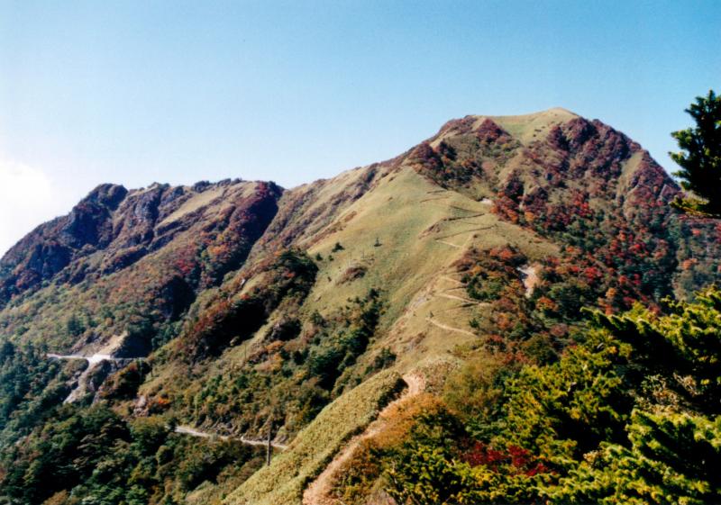 40. 瓶ヶ森自然休養林