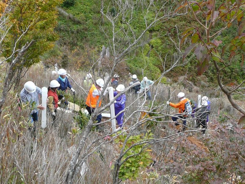 81. 恵みの森やなせ（馬路村教育委員会）