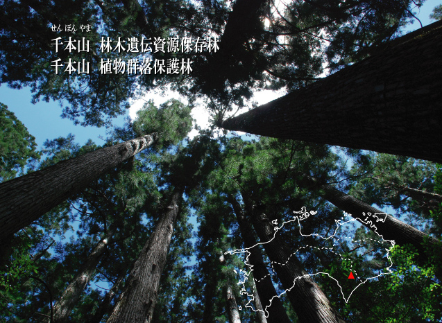 千本山保護林