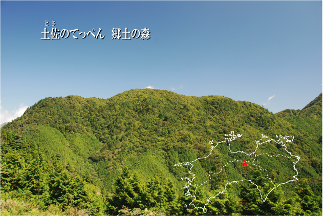 土佐てっぺん保護林