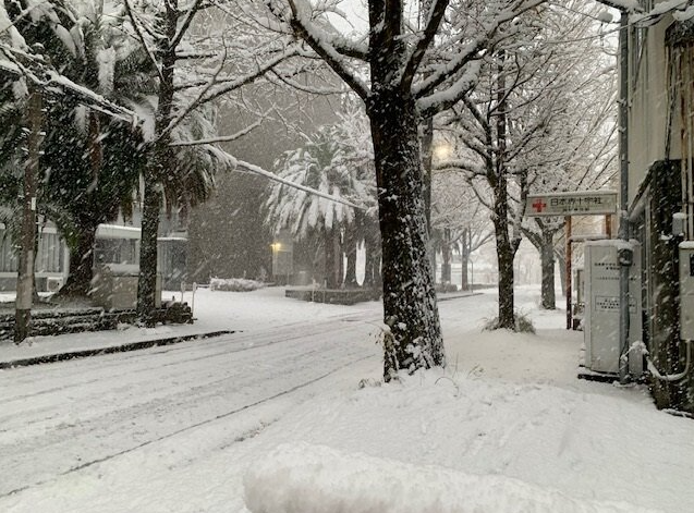 街路樹や歩道が一面の雪に覆われ、静寂に包まれた冬景色です。木々の幹や枝にも雪が積もり、街灯の淡い光がぼんやりと雪に反射して幻想的な雰囲気を醸し出しています。
