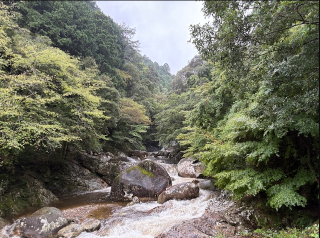 岩肌を流れる清流と、その両側に広がる深い緑の森が印象的な風景です。大小の岩が水の流れを遮り、自然の力強さを感じさせます。周囲の木々は濃淡の異なる緑で彩られ、奥へ続く谷間が静けさを演出。水音が響くような清涼感と、手つかずの自然の豊かさが伝わる一枚です。