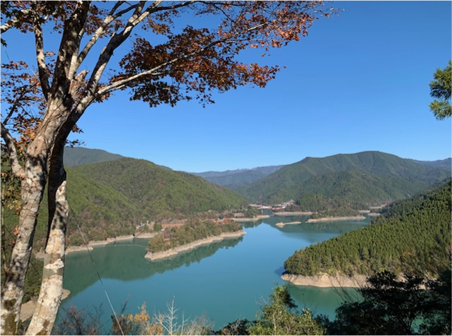 深い緑の山々に囲まれた湖が、澄んだ青空を映して穏やかに広がっています。湖面は入り組んだ形を描き、周囲の森林が豊かな自然を感じさせます。前景には紅葉した木の枝が彩りを添え、季節の移ろいを静かに伝えています。遠くまで続く山並みと水の輝きが調和し、雄大で清らかな景観が広がる一枚です。