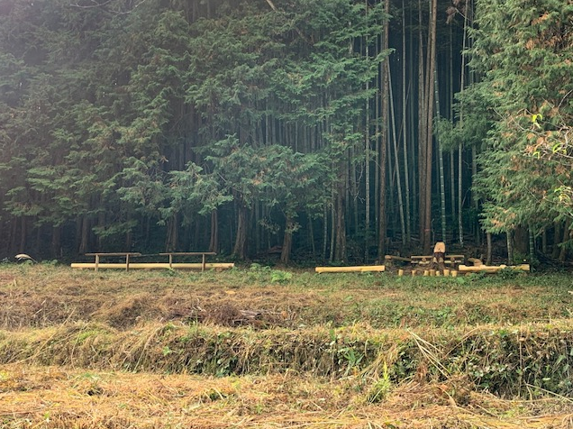 奥に整然と立ち並ぶ杉林が、深い緑の壁のように広がっています。手前には刈り取られた草地があり、その境界に沿って木材のベンチや作業台のようなものが並んでいます。