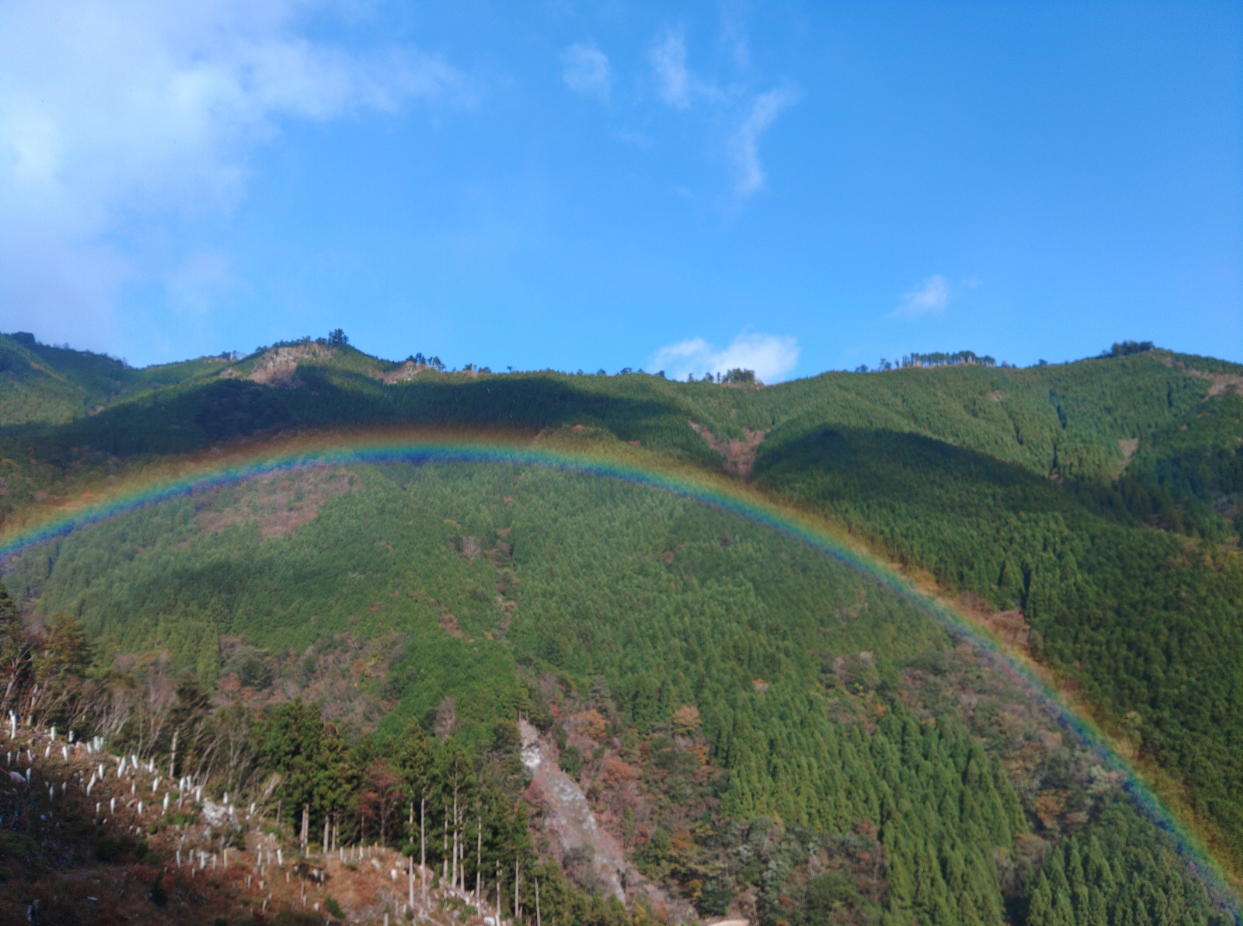 青空の下、山々の緑を背景に鮮やかな虹が弧を描いています。虹は斜面の森林を包み込むように広がり、澄んだ空気と光が織りなす自然の美しさを際立たせています。