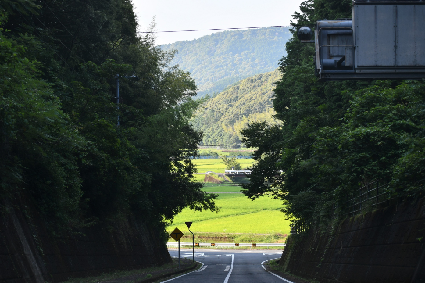 両側を深い緑の木々に囲まれた道路が、谷間を抜けて明るい田園風景へと続いています。奥には山並みが広がり、手前の暗い森と奥の鮮やかな緑の対比が印象的です。自然と人の暮らしが調和する景色です。