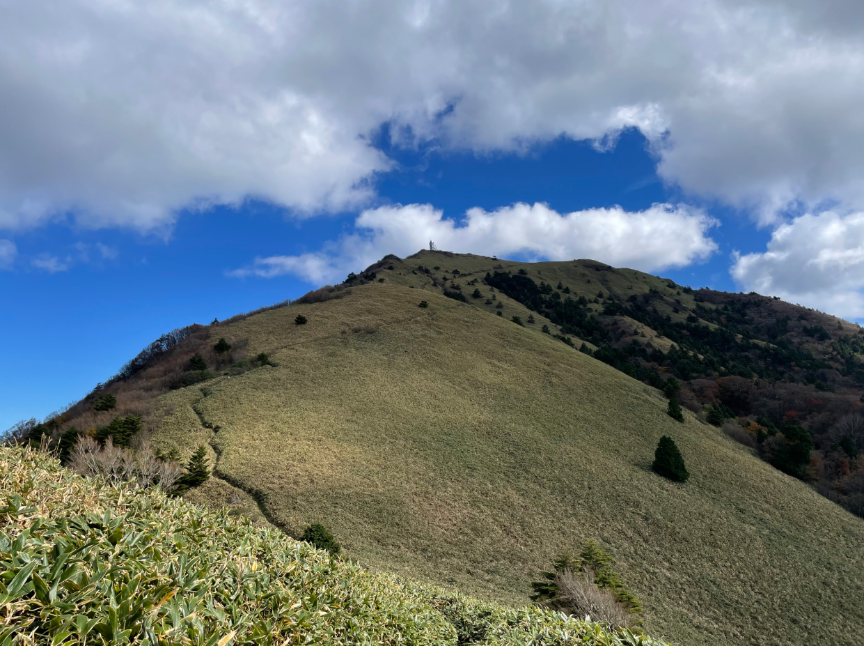 なだらかな稜線が続く山の景色で、手前には笹原が広がり、奥には緑と茶色が混じる斜面が見えます。青空に白い雲が浮かび、澄んだ空気と開放感を感じさせる風景です。
