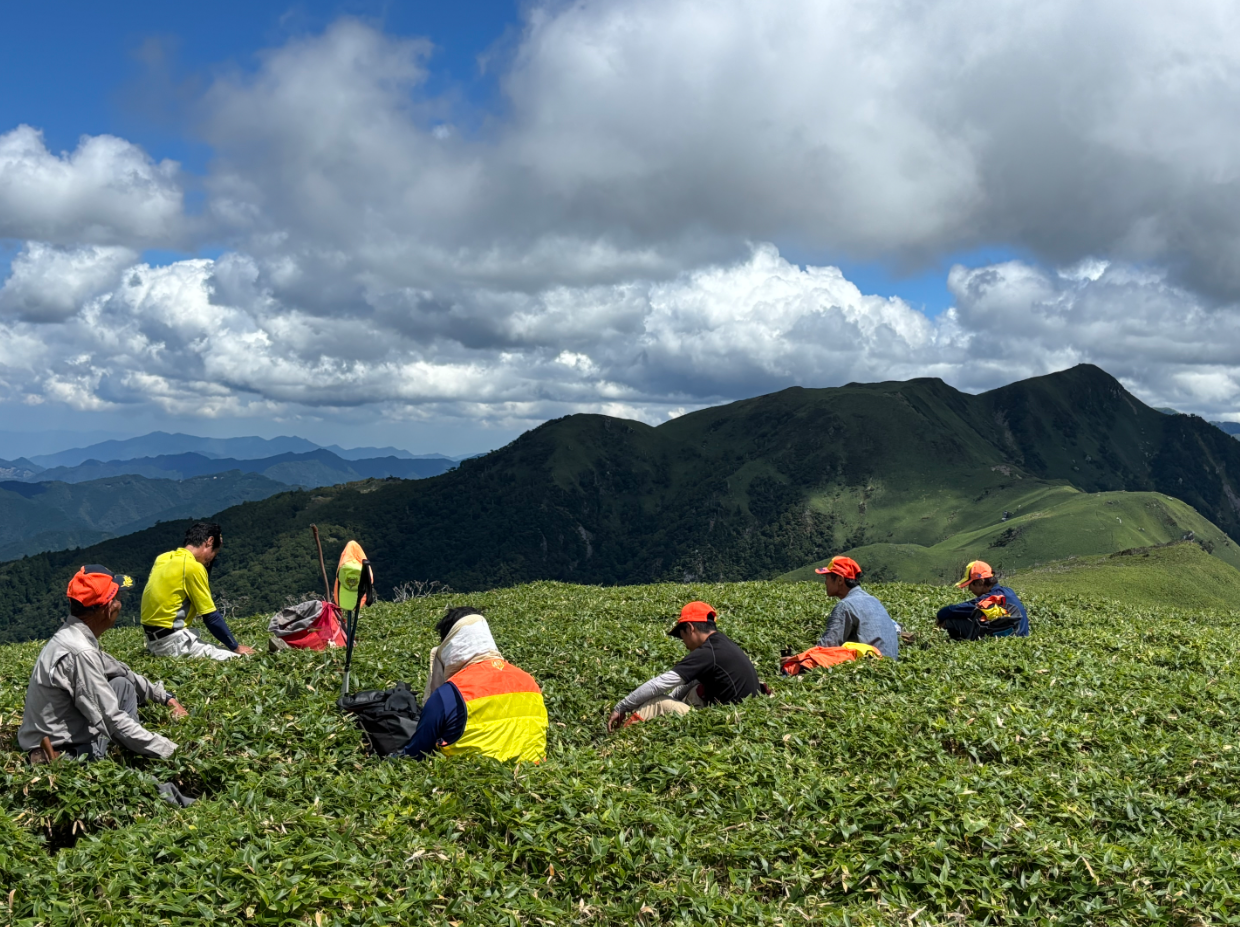 広がる山頂の草原で、複数の人々が休憩しながら遠くの山並みを眺めています。鮮やかなオレンジ色の帽子や黄色のベストが緑の大地に映え、背景には雲が浮かぶ青空と連なる峰々が広がり、開放感と自然の雄大さを感じさせる風景です。