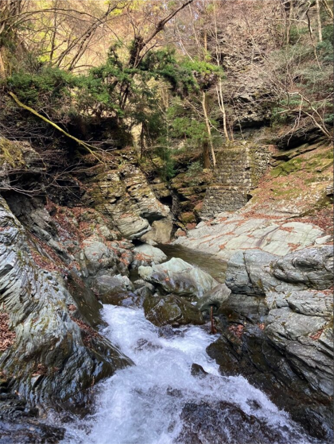 岩肌を流れる清らかな沢水が、勢いよく白く泡立ちながら下っていく様子が写っています。周囲は岩壁と木々に囲まれ、落ち葉が散らばる冬枯れの山間部。水の流れの力強さと、静かな自然の対比が印象的な風景です。