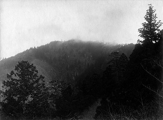 14 雨杉遠景