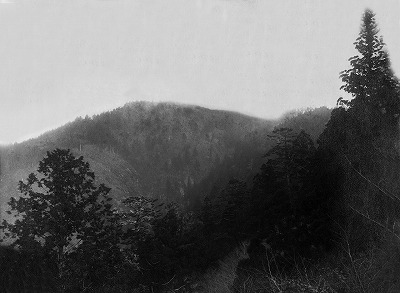 01 雨杉遠景