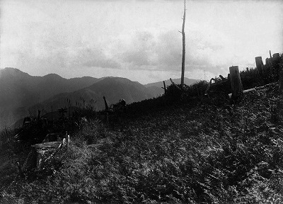 070 谷山北平山林内苗圃二回床替