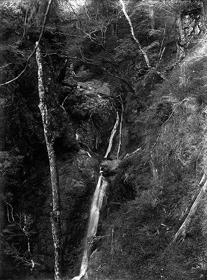 116 傘杉直下の滝