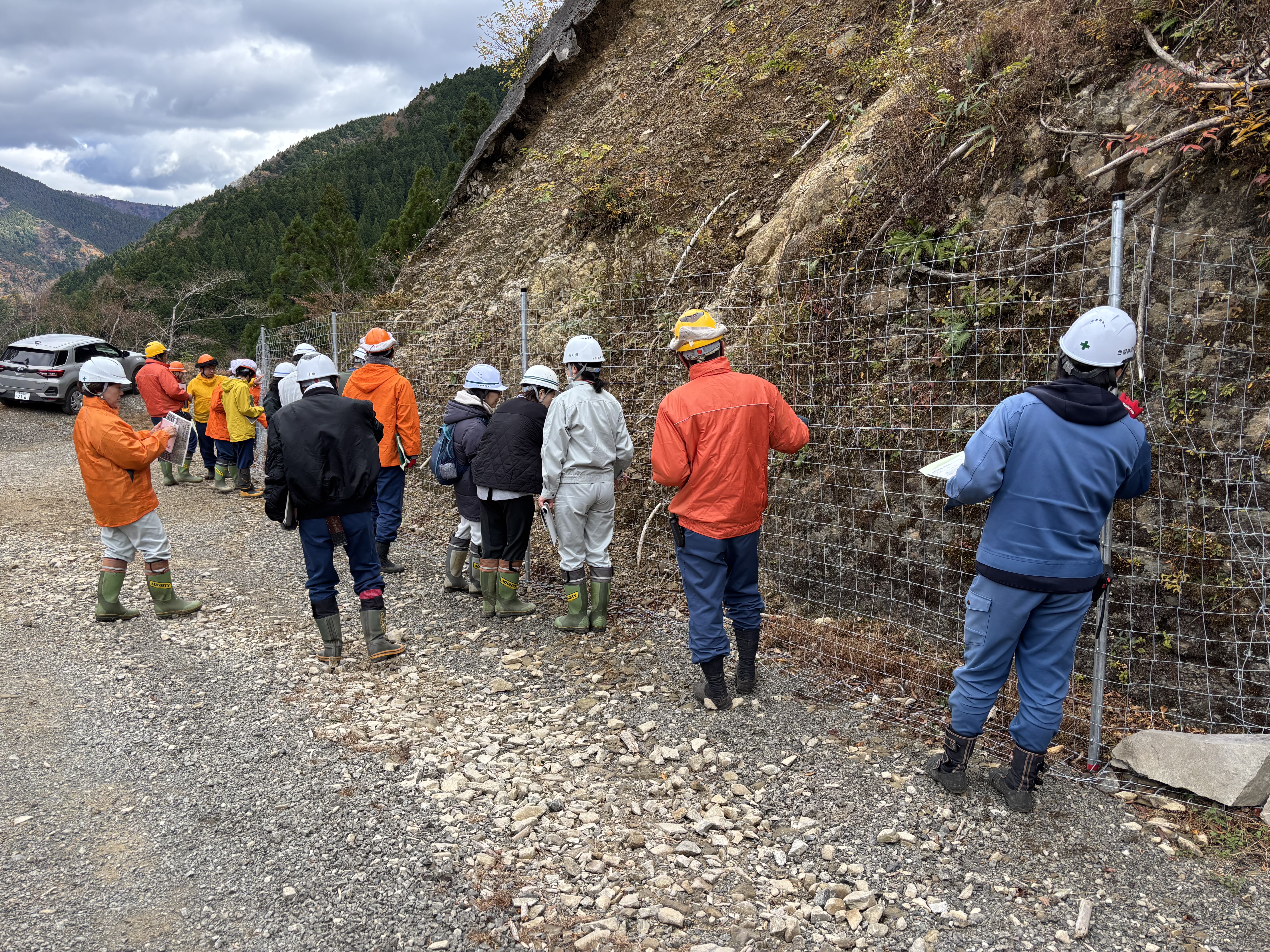 金網ネットの説明