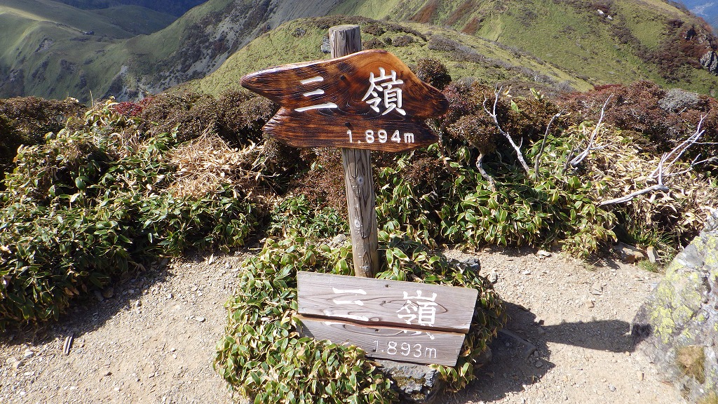 新旧の看板