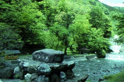 治山の森