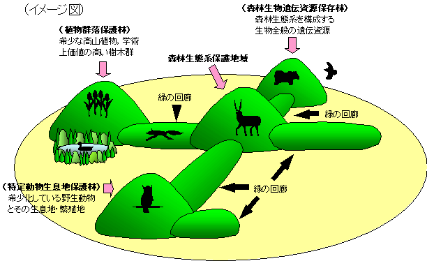 「緑の回廊」のイメージ図