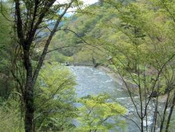 治山の森(西熊渓谷)