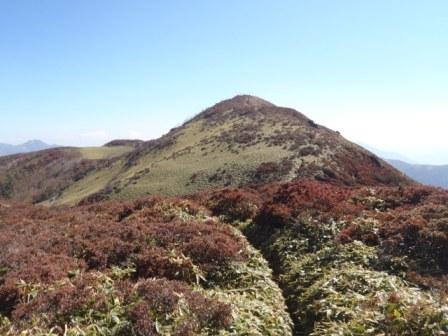 西から見た山頂