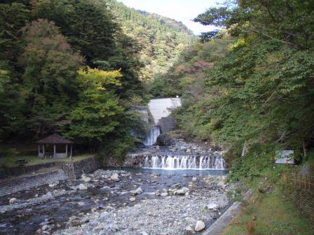 治山の森：三嶺