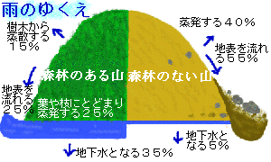 雨のゆくえ